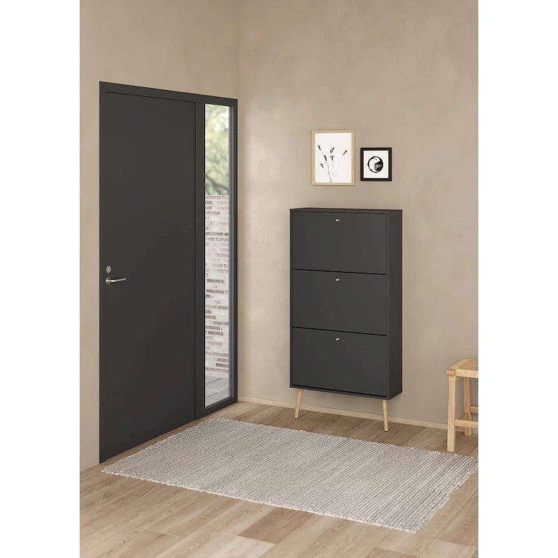 Blanc / Gris mat, Meuble à chaussures 3 portes, Montage 2 personnes